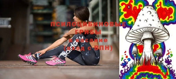 круглые Белокуриха