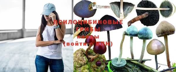 молекула духа Беломорск